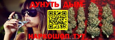 2c-b Будённовск