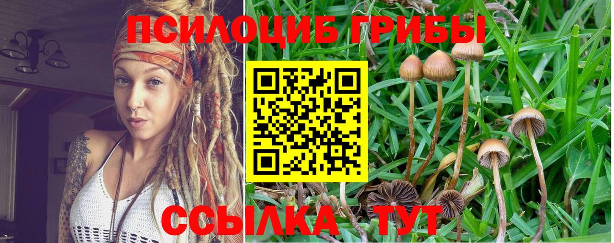 Галлюциногенные грибы MAGIC MUSHROOMS Коркино