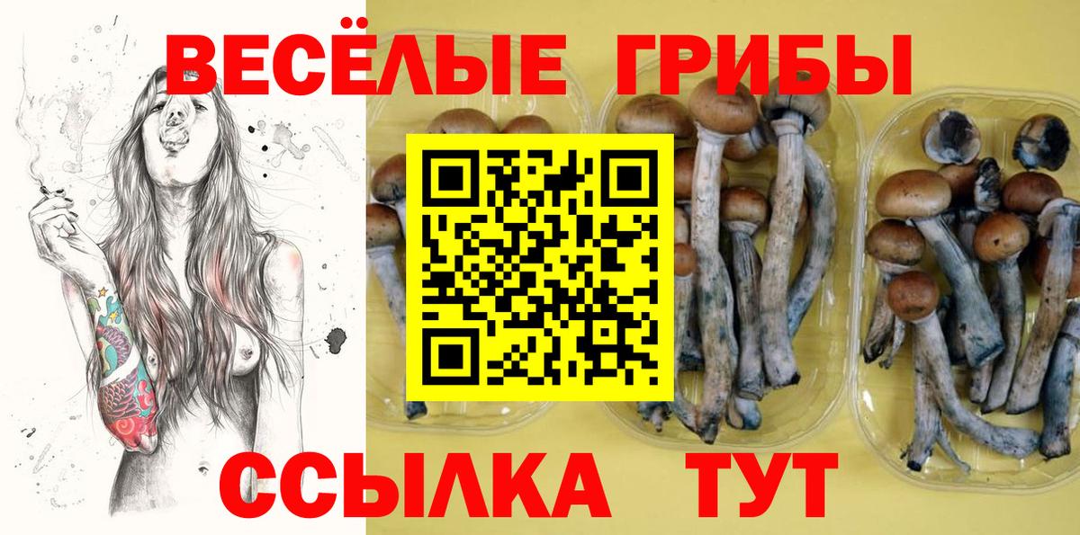 Коркино  Галлюциногенные грибы Psilocybe  закладки  Вход с VPN  Галлюциногенные грибы GOLDEN TEACHER 